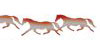 Running Horses Graphic Kit GK310