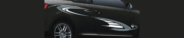 Car Graphic Kit GK382
