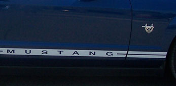 2005-2009 Mustang Factory Style Rocker Stripe.