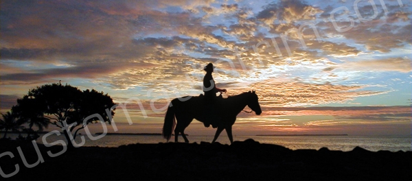 Cowboy Riding at Sunset Rear Window Graphic