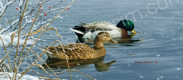 Hautman Winter Waters Ducks Rear Window Graphic