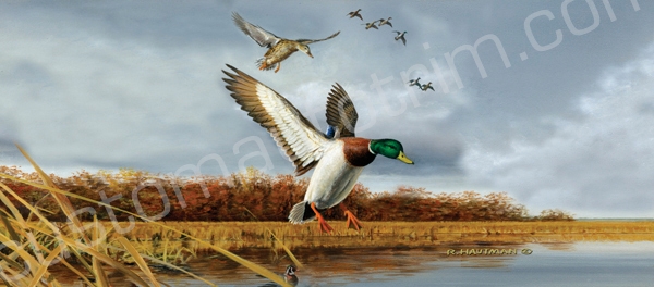 Hautman Mallard Flock Rear Window Graphic