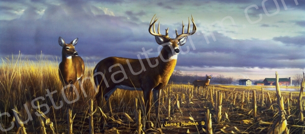 Hautman Local Legend Deer Rear Window Graphic