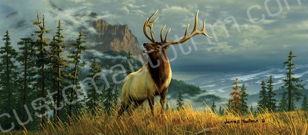 Hautman High Mountain Elk Rear Window Graphic