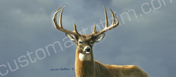 Hautman Whitetail Deer Solo Rear Window Graphic