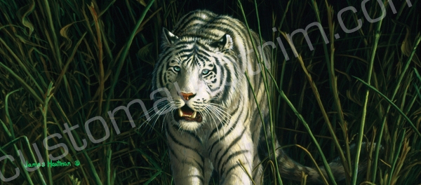 Hautman White Tiger Rear Window Graphic