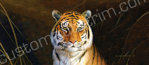 Hautman Tiger Portrait Rear Window Graphic