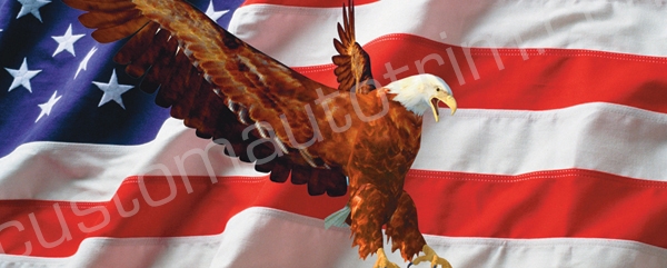 US Flag and Flying Eagle Rear Window Graphic