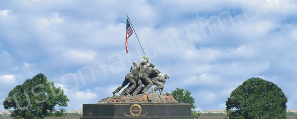 Iwo Jima Flag Raising Rear Window Graphic