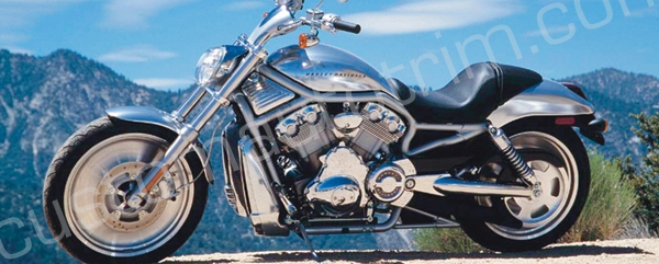 Motorcycle in Mountains Rear Window Graphic