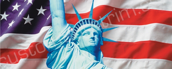 Statue of Liberty and US Flag Rear Window Graphic