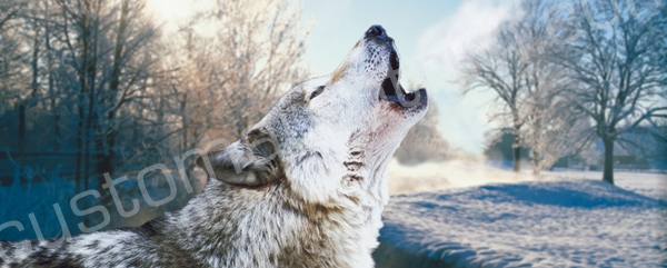 Winter's Wolf Rear Window Graphic