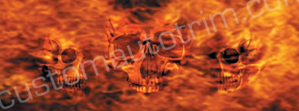 Skulls on Fire Rear Window Graphic