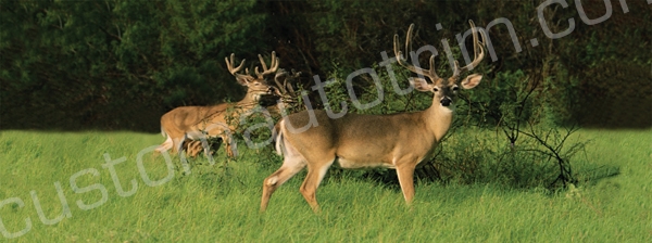 Vantage Point 020283L Big Game-Whitetail Deer Rear Window Graphic VantagePoint 