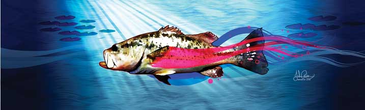 John Rios Bass Fish Rear Window Graphic