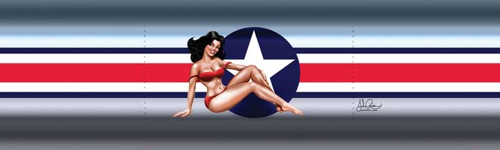 John Rios Plane Pinup Girl Air Corps Star & Bar Rear Window Graphic