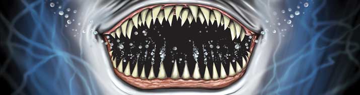 Sharks Teeth - Bite Me Rear Window Graphic