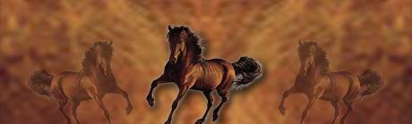 Horses and Fire Rear Window Graphic