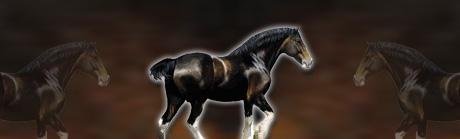 Draft Horses Profile Rear Window Graphic
