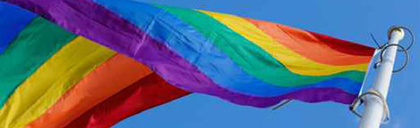 Waving Pride LGBT Flag Rear Window Graphic
