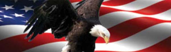American Eagle Patriotic Flag Rear Window Graphic