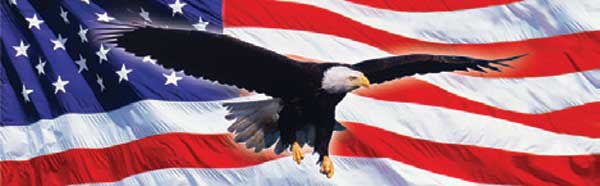 Flying Eagle on American Flag Rear Window Graphic