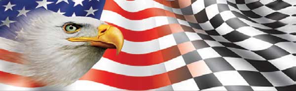 Eagle Head, American Flag and Racing Flag Rear Window Graphic