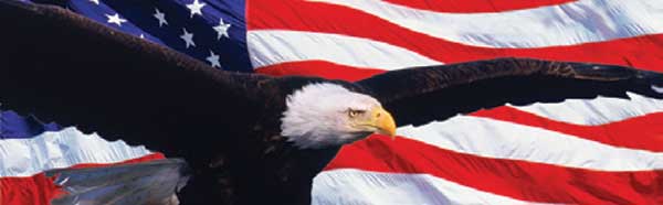 Spread Eagle on American Flag Rear Window Graphic