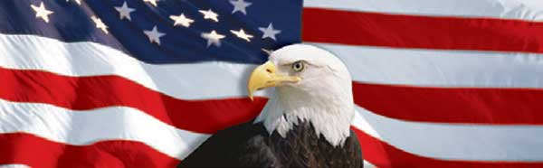 American Eagle Centered on USA Flag Rear Window Graphic