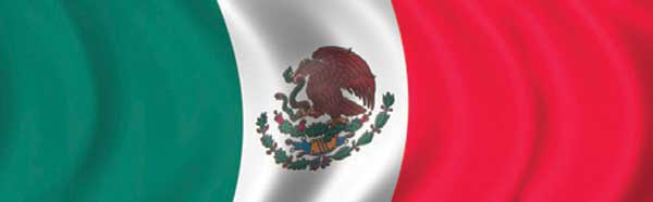 MEXICAN FLAG Rear Window Graphic