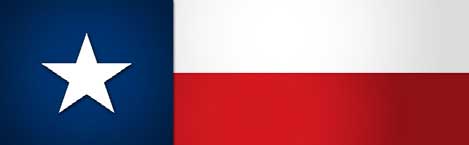 TEXAS FLAG STRAIGHT Rear Window Graphic