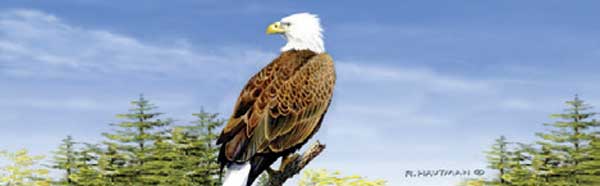 EAGLE ON PERCH Rear Window Graphic