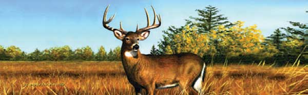 Deer Rear Window Graphics RWG1864