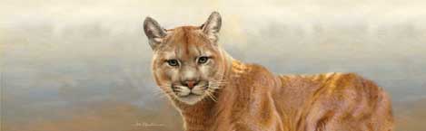 COUGAR MOUNTAIN LION Rear Window Graphic