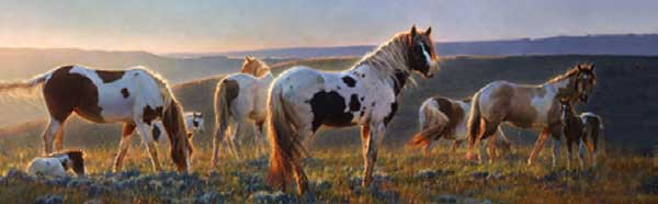 HORSES AT DAWN Rear Window Graphic