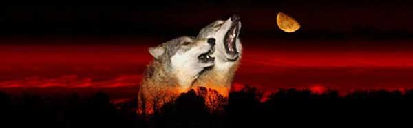 HOWLING WOLVES Rear Window Graphic