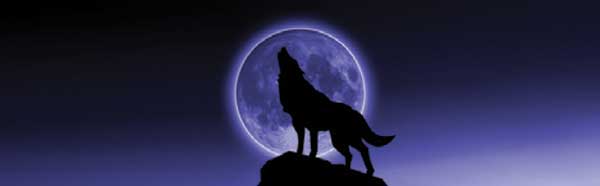 HOWLING WOLF Rear Window Graphic