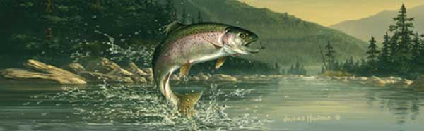 Rainbow Trout Fishing Rear Window Graphic