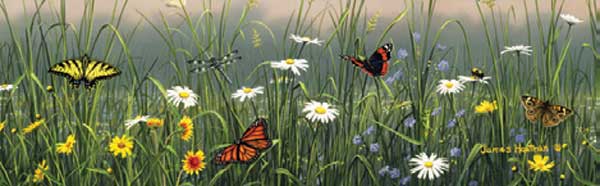 BUTTERFLIES AND FLOWERS Rear Window Graphic