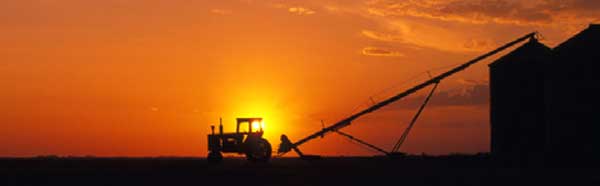 TRACTOR ORANGE SKY Rear Window Graphic