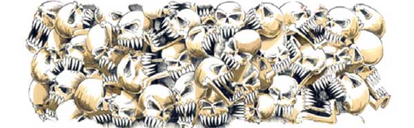 44 Skulls Rear Window Graphic