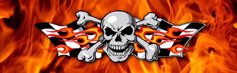 Skull And Flames Racing Rear Window Graphic