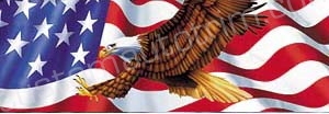 American Flag and Eagle Rear Window Graphic