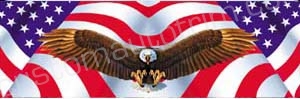Flying Eagle American Flag Rear Window Graphic