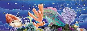 Coral Reef Rear Window Graphic