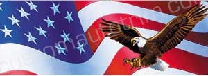 Eagle and American Flag Rear Window Graphic